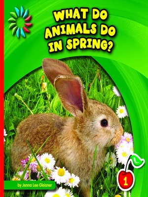 What Do Animals Do in Spring? - ebook